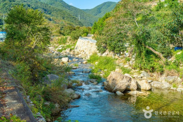 서지관광농원 여행 추천 - 메고지고