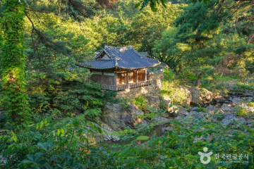 예천 출렁다리마을 여행 추천 - 메고지고