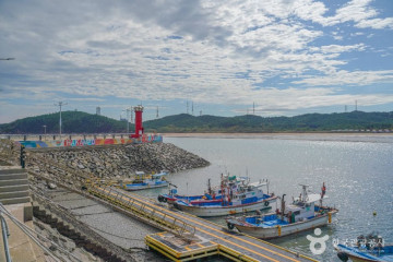 학암포선착장 여행 추천 - 메고지고