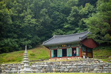 드림바다실내낚시터 여행 추천 - 메고지고
