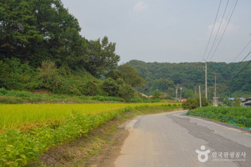 두메낚시터 여행 추천 - 메고지고