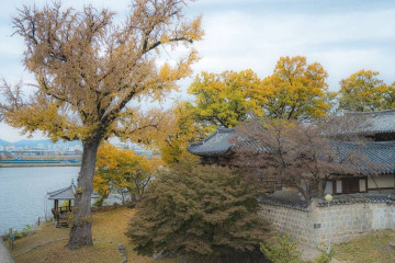 구미과학관 여행 추천 - 메고지고