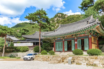 에코유캠핑장 여행 추천 - 메고지고