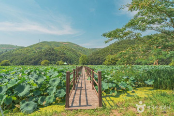 석계서원 여행 추천 - 메고지고