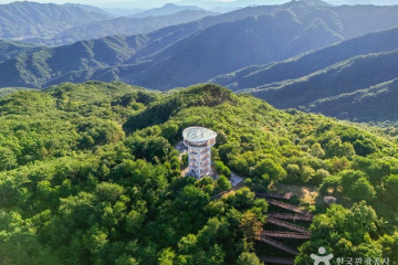 예천목재문화체험장 여행 추천 - 메고지고