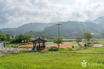 장동산림욕장 여행 추천 - 메고지고
