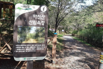 대구 세천늪테마정원 여행 추천 - 메고지고