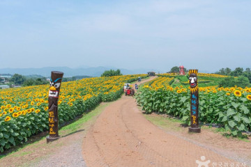 악양둑방 여행 추천 - 메고지고