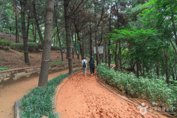 성남시수정청소년수련관 여행 추천 - 메고지고