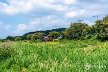 태평동 물놀이장 여행 추천 - 메고지고