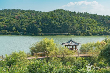 대룡마을 여행 추천 - 메고지고