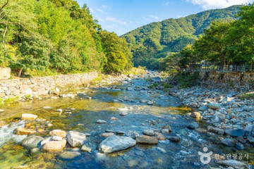 서지관광농원 여행 추천 - 메고지고