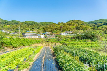 [지리산둘레길] 삼화실-대축 여행 추천 - 메고지고