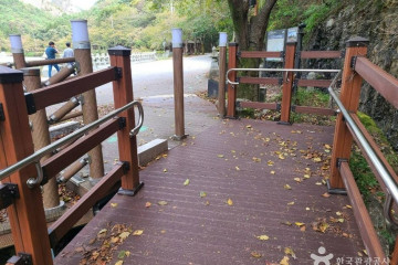 마이산 벚꽃길 여행 추천 - 메고지고