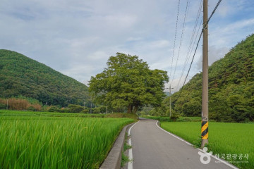 경상남도수목원 여행 추천 - 메고지고