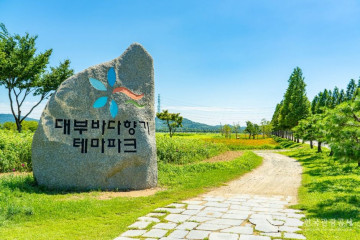 달전망대 여행 추천 - 메고지고