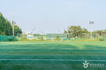 팽성레포츠공원 여행 추천 - 메고지고