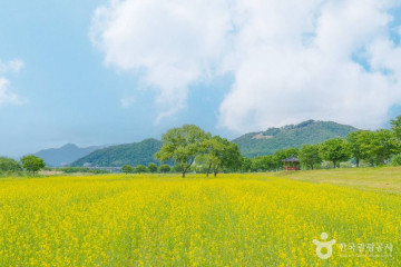 봉서정 여행 추천 - 메고지고