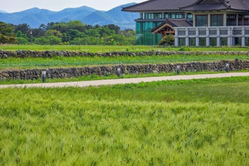 황룡사역사문화관 여행 추천 - 메고지고