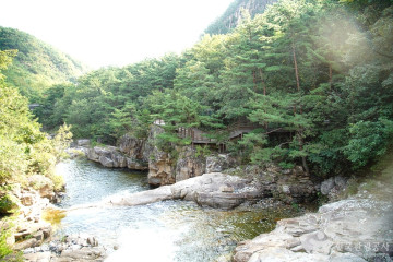 동해무릉건강숲 여행 추천 - 메고지고