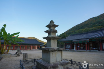 진북편백골관광농원캠핑장 여행 추천 - 메고지고