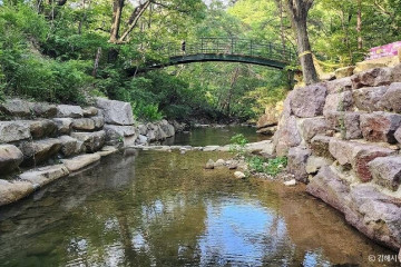 신어산자연숲캠핑장(장척힐링마을) 여행 추천 - 메고지고