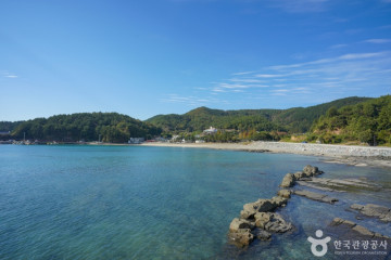 고성 덕명리 공룡발자국과 새발자국 화석산지 여행 추천 - 메고지고