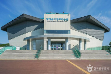 대구 달성습지 여행 추천 - 메고지고