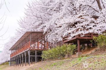 안양천가족정원 여행 추천 - 메고지고