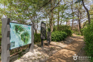 초안산 여행 추천 - 메고지고
