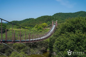 창녕 우포늪 여행 추천 - 메고지고