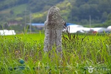 선학동 마을 여행 추천 - 메고지고