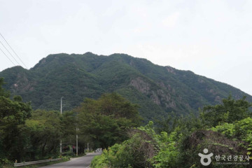 영동 금강모치마을 여행 추천 - 메고지고