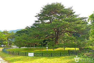 삼가저수지 여행 추천 - 메고지고