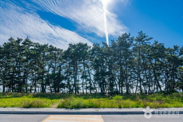 화성 궁평어촌체험휴양마을 여행 추천 - 메고지고