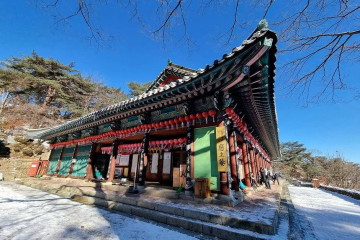 관악산 여행 추천 - 메고지고