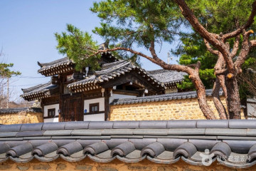 클럽아이리스 여행 추천 - 메고지고