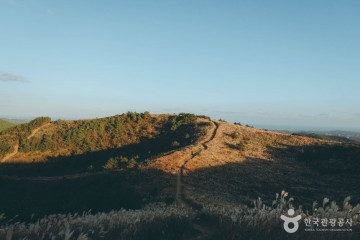 조랑말체험공원 여행 추천 - 메고지고