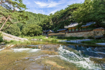 봉화닭실마을 여행 추천 - 메고지고
