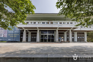 강화 갑곶리 탱자나무 여행 추천 - 메고지고