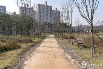 플라이스테이션 여행 추천 - 메고지고