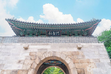 본화랑 여행 추천 - 메고지고