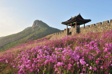 우계당서원 여행 추천 - 메고지고