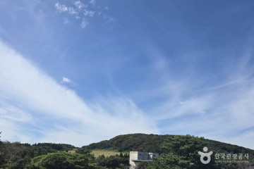 엘리시안 제주 컨트리클럽 여행 추천 - 메고지고