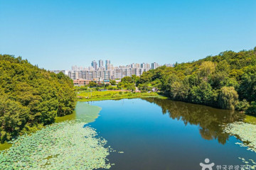 문화살롱 여행 추천 - 메고지고