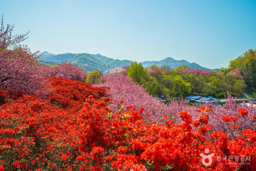 완산벙커 더 스페이스 여행 추천 - 메고지고