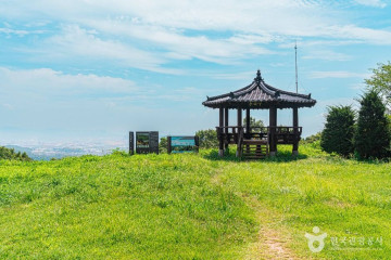 CICA 미술관 여행 추천 - 메고지고