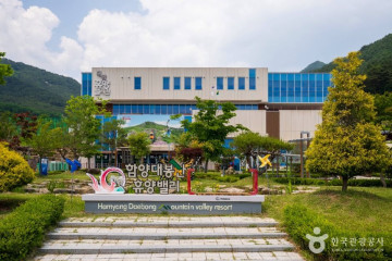 대봉산자연휴양림 여행 추천 - 메고지고