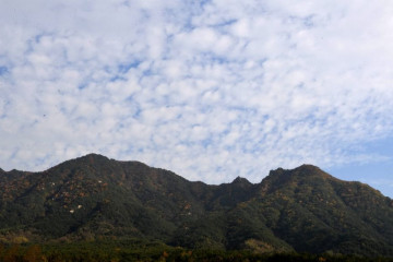 오도산 여행 추천 - 메고지고
