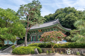 과천야생화자연학습장 여행 추천 - 메고지고